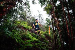 BIB: 
                            <button type="button" onclick="openModal(26205438)" class="btn btn-primary btn-sm float-right btn-popup" data-toggle="modal" data-target=".modal-high-quality">
                        <i class="fas fa-shopping-cart"></i> Add to Cart
                    </button>
                                            <button type="button" onclick="isThisMe(26205438, true)" class="btn btn-success btn-sm float-right btn-popup btn-isme hidden" data-toggle="tooltip" data-placement="bottom" title="นี่คือรูปของคุณใช่ไหม คลิกที่นี่เพื่อเอาเข้าอัลบั้ม">
                        <i class="fas fa-plus"></i> Add to album
                    </button>
                    <button type="button" onclick="isThisMe(26205438, false)" class="btn btn-warning btn-sm float-right btn-popup btn-isnotme hidden">
                        <i class="fas fa-ban"></i> Remove from album
                    </button>